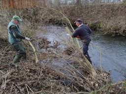 whatsapp image 2025-10-19 at 14.50.59 2